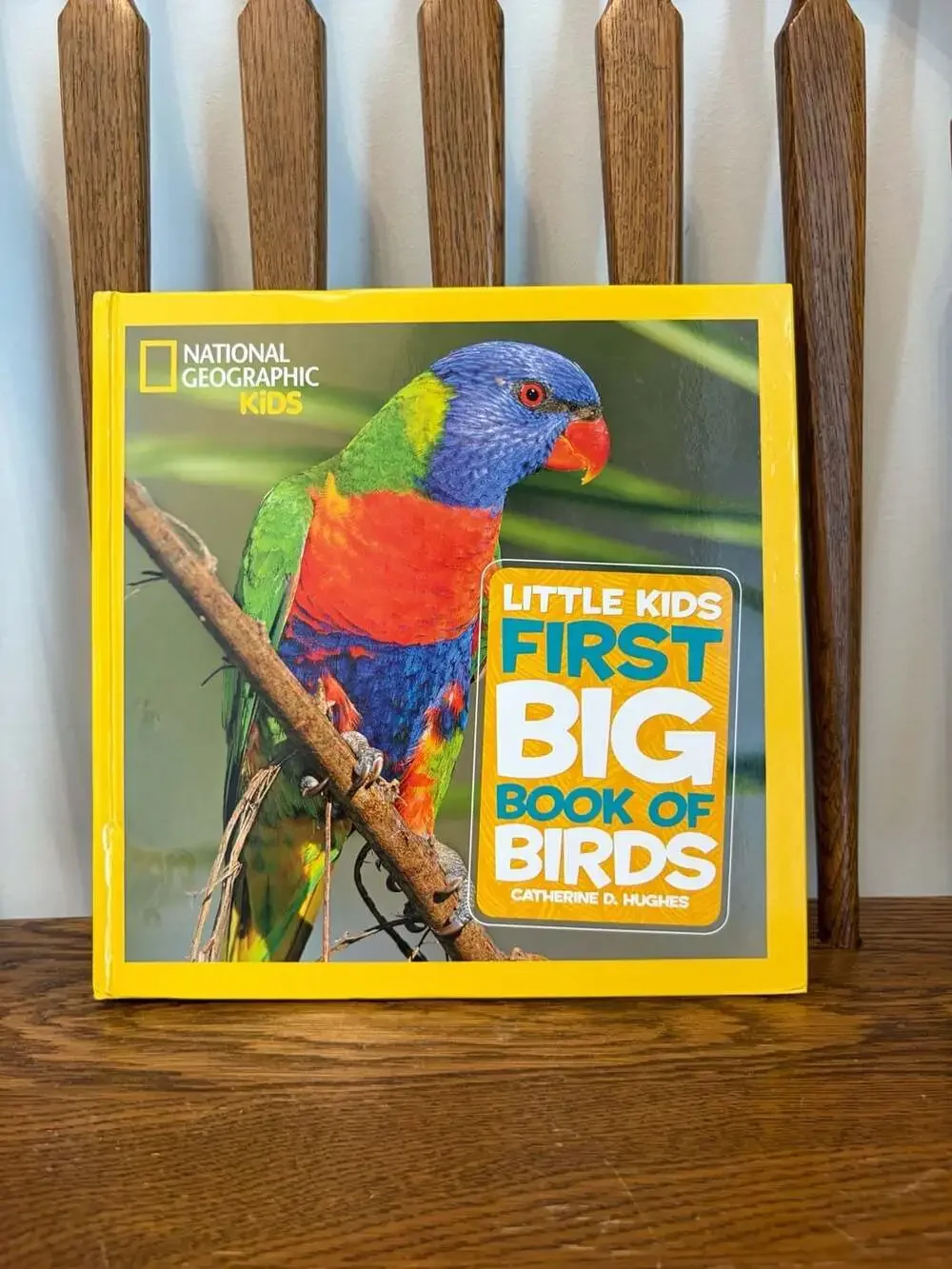 National Geographic Kids Little Kids First Big Book of Birds by Catherine D. Hug